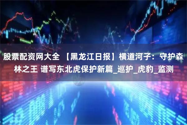 股票配资网大全 【黑龙江日报】横道河子：守护森林之王 谱写东北虎保护新篇_巡护_虎豹_监测