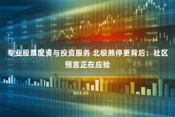 专业股票配资与投资服务 北极熊停更背后：社区预言正在应验